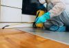 Top 10 Best Pest Control Company in Singapore for 2025 Top 10 Best Pest Control Company in Singapore